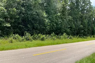 25420 Cambridge Blvd, New Caney, TX 77357 - Photo 1