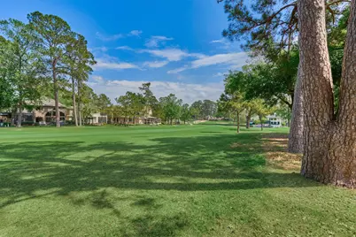 3322 Torrey Pines Drive, Montgomery, TX 77356 - Photo 44