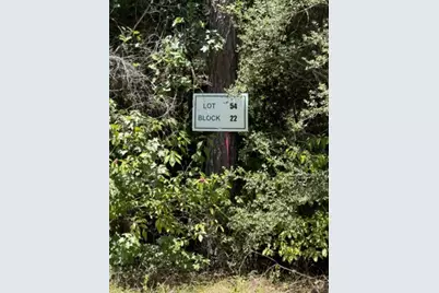 Lot 54 Grey Feather Road, Huntsville, TX 77340 - Photo 4