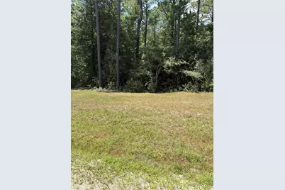 Lot 54 Grey Feather Road, Huntsville, TX 77340 - Photo 2