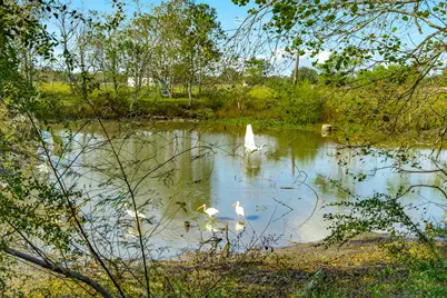 1682 Herring Road, Alvin, TX 77511 - Photo 12