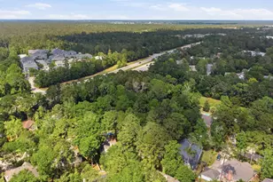 55 Terraglen Dr Spring, The Woodlands, TX 77382 - Photo 28