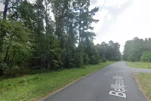 3322 Upper Lake 0013 Dr, Houston, TX 77338 - Photo 22