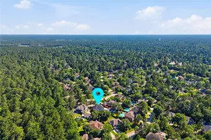 34 Watermint Pl, The Woodlands, TX 77384 - Photo 46