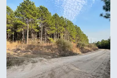 Na Kickapoo Road, Groveton, TX 75845 - Photo 10