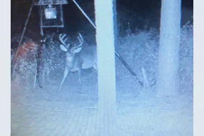 Na Kickapoo Road, Groveton, TX 75845 - Photo 6