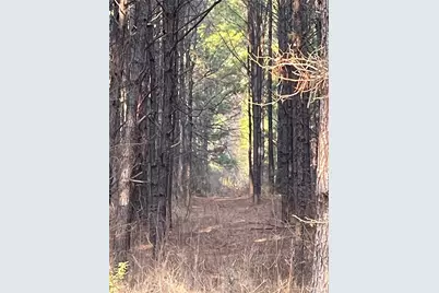 Na Kickapoo Road, Groveton, TX 75845 - Photo 1