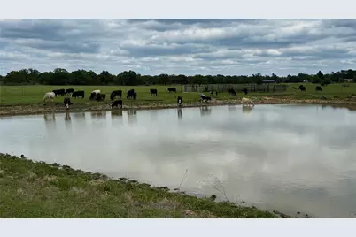 Tbd County Road 317, Rockdale, TX 76567 - Photo 16