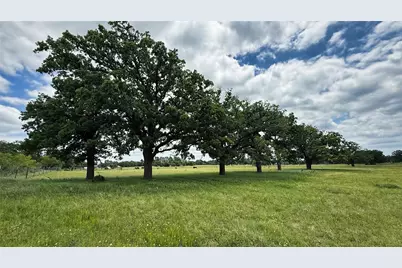 Tbd County Road 317, Rockdale, TX 76567 - Photo 20