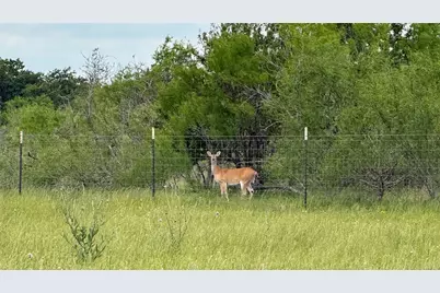 Tbd County Road 317, Rockdale, TX 76567 - Photo 26