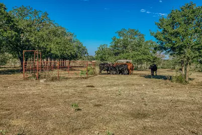 Tbd Walter Hoffman Road, Cedar Creek, TX 78612 - Photo 32
