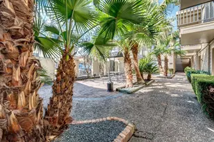 4321 Hazard St, Houston, TX 77098 - Photo 1