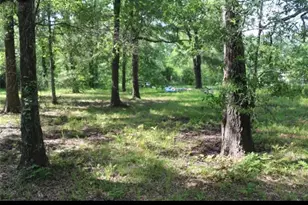 211 Panther Ln, Livingston, TX 77351 - Photo 1