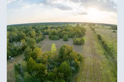 000 Burns Road, Midway, TX 75852 - Photo 8