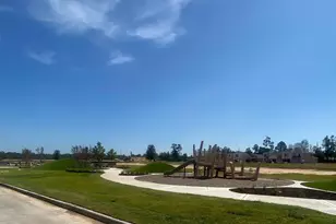 16128 Sepia Manor St, Conroe, TX 77302 - Photo 6