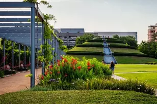 2419 Charleston St, Houston, TX 77021 - Photo 24