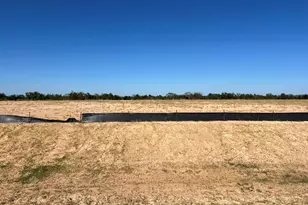 5017 Bluebell Way, Waller, TX 77484 - Photo 2