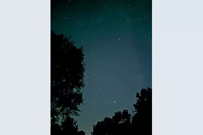 105 Saddle Surrey Road, Coldspring, TX 77331 - Photo 34