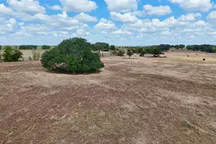 Tract 2 County Road 366, Shiner, TX 77984 - Photo 1