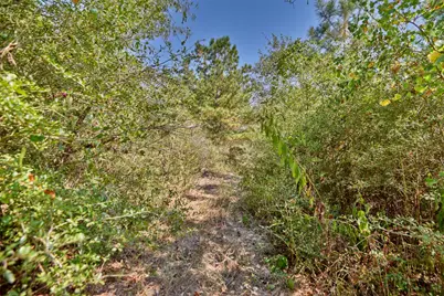 28850 Riley Road, Waller, TX 77484 - Photo 30