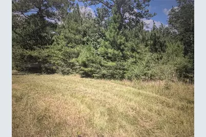 0 Hwy 59, Livingston, TX 77351 - Photo 2
