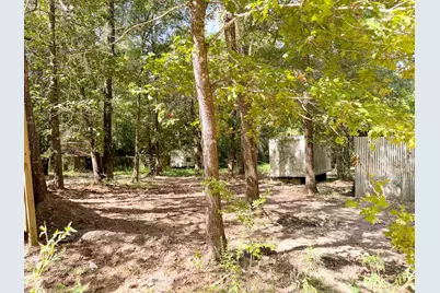 19124 Leicester, New Caney, TX 77357 - Photo 12