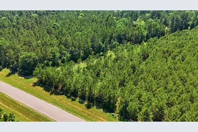 15979 Wood Grove Way, Willis, TX 77378 - Photo 2