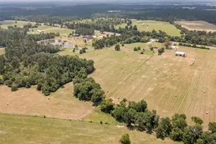 8279 State Hwy 19 S, Lovelady, TX 75851 - Photo 28