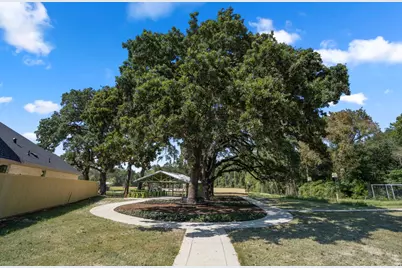 40575 Goldeneye Place, Magnolia, TX 77354 - Photo 18