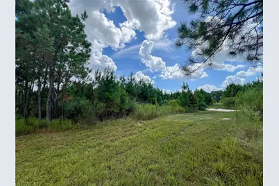 T-22B State Highway 94, Groveton, TX 75845 - Photo 6