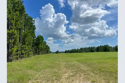 T-22B State Highway 94, Groveton, TX 75845 - Photo 2