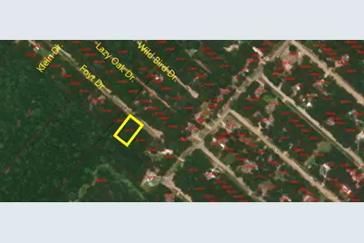 Tbd Foyt Drive, Livingston, TX 77351 - Photo 2