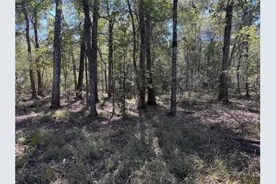 401 County Road 401, Dayton, TX 77535 - Photo 2