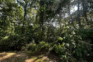 629 Hidden Oaks Dr, Point Blank, TX 77364 - Photo 32