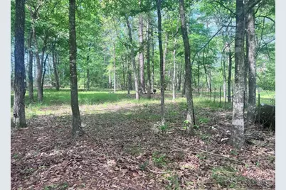 124 Magnolia Lane, Huntsville, TX 77340 - Photo 14