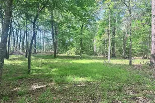 124 Magnolia Ln, Huntsville, TX 77340 - Photo 12