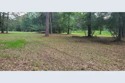 15291 Bart Lake Road, Conroe, TX 77303 - Photo 4