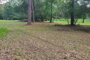 15291 Bart Lake Rd, Conroe, TX 77303 - Photo 4