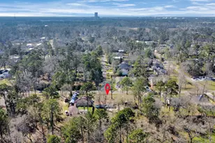 10804 Longleaf Dr, Conroe, TX 77385 - Photo 36