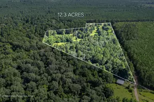 5735 County Rd 2252, Cleveland, TX 77327 - Photo 44