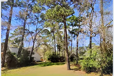 3303 Hemingway Drive, Montgomery, TX 77356 - Photo 2
