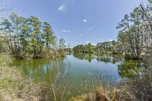 10 Raccoon Ramble, Cleveland, TX 77327 - Photo 38