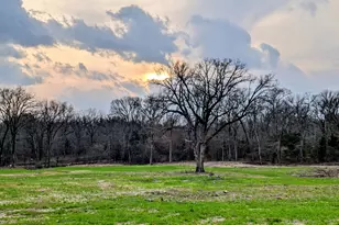 3115 Rains County Rd 2610, Alba, TX 75410 - Photo 32