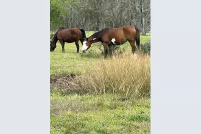 923 Y U Jones Road, Richmond, TX 77469 - Photo 48