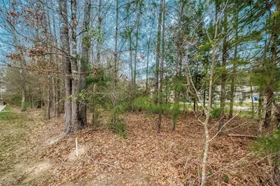 17010 N Saba, Splendora, TX 77372 - Photo 4