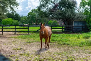 3577 Katy Hockley Rd, Katy, TX 77493 - Photo 42