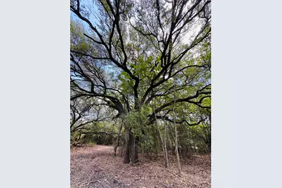 4400 Klekar-Gin, Schulenburg, TX 78956 - Photo 14