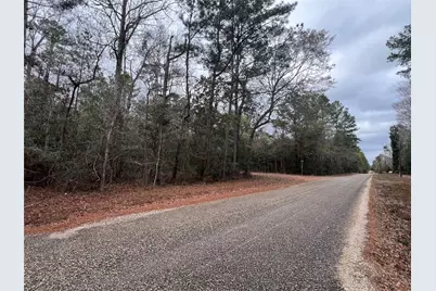 0 Road 2746, Cleveland, TX 77327 - Photo 6