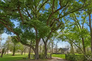 14311 Blidel Rd, Thompsons, TX 77469 - Photo 20