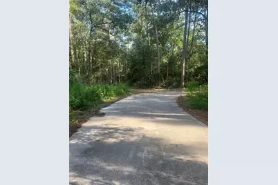 30403 Walnut Creek Road, Magnolia, TX 77355 - Photo 2